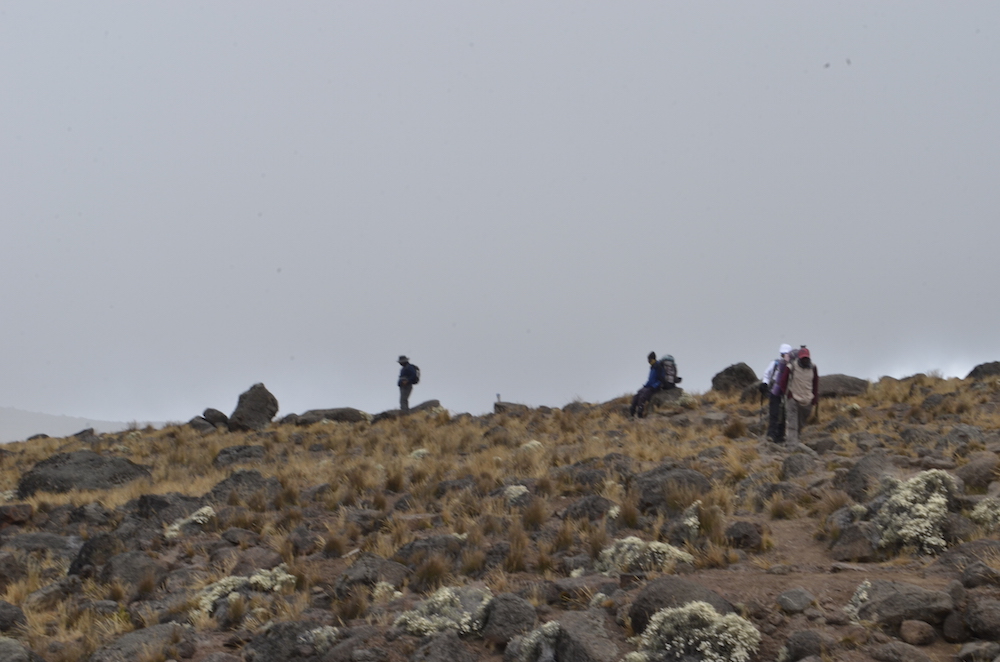 Approaching Lava Tower