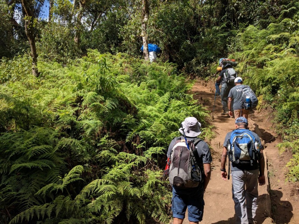 Trekking the first day