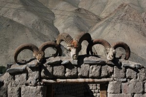 Ibex heads at the entrance