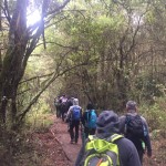 Kilimanjaro_Hemant Soreng_Rustik Travel_8